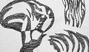 Графический эскиз / Drawing study 578