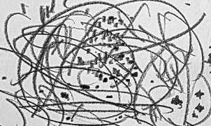 Графический эскиз / Drawing study 582
