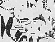 Графический эскиз / Drawing study 583