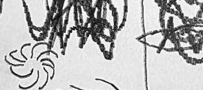 Графический эскиз / Drawing study 586