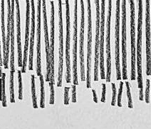 Графический эскиз / Drawing study 591