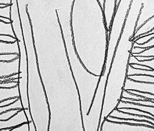 Графический эскиз / Drawing study 625