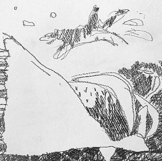 Графический эскиз / Drawing study 685