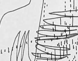 Графический эскиз / Drawing study 692