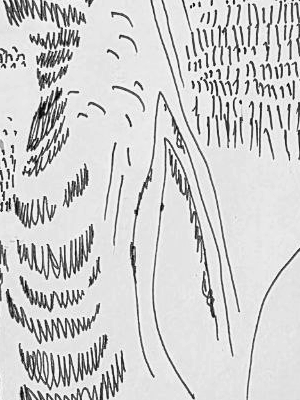 Графический эскиз / Drawing study 700