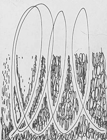 Графический эскиз / Drawing study 704