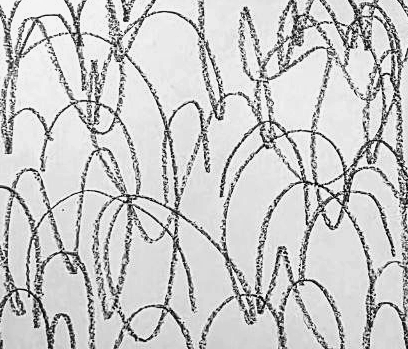 Графический эскиз / Drawing study 729