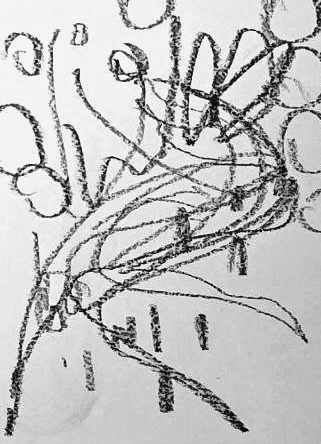 Графический эскиз / Drawing study 774