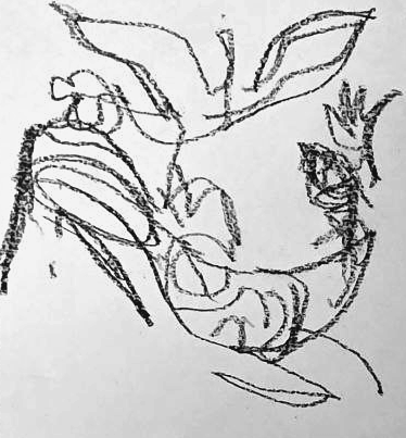 Графический эскиз / Drawing study 776