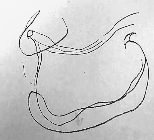 Графический эскиз / Drawing study 788